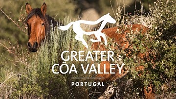 World Rewilding Day 2022 | Message from Rewilding Portugal | This is #WhyWeRewild