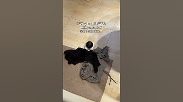 She always finds a way to creep on me 😭 #minirobot #longdistance #couples #longdistancerelationship