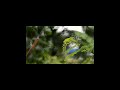 diy filter bokeh kamera dslr