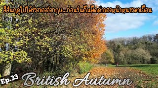 British autumn
สีสันของฤดูใบไม้ร่วงที่ประเทศอังกฤษ