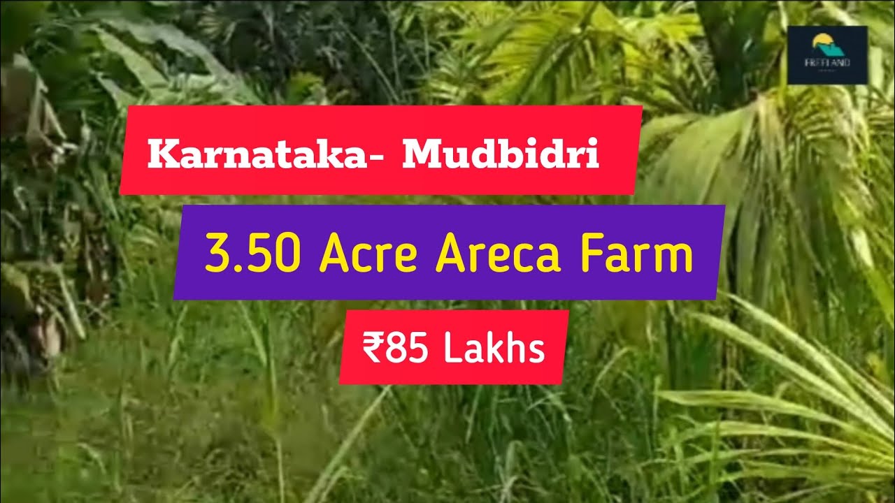 3 50 Acre Areca Farm For Sale Mudbidri Karnataka 85 Lakhs YouTube 3-50-acre-areca-farm-for-sale-mudbidri-karnataka-85-lakhs-youtube