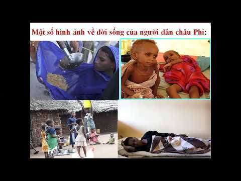 Tuần 26 lớp 5 địa lí châu phi tt