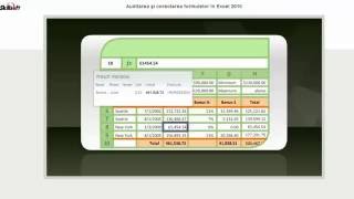 Excel 2010 Utilizarea Watch Window