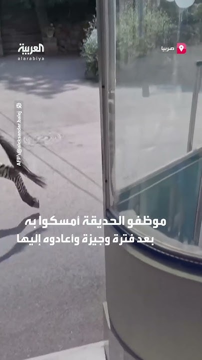           3      
 - نشر قبل 30 دقيقة