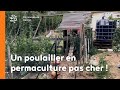 Exemple de poulailler en permaculture pas cher !