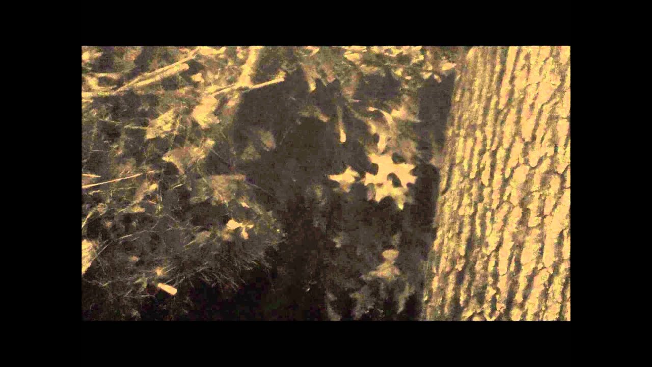 SASQUATCH ATTACK CAUGHT ON TAPE IN ALABAMA! ACTUAL FOOTAGE! CAUTION: GRAPHIC ATTACK (SHORT VERSION)