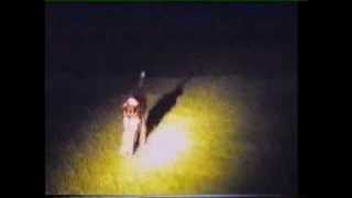 lamping with lurchers by TheMrGTsmash 26,306 views 10 years ago 30 minutes