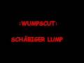 Miniature de la vidéo de la chanson Schäbiger Lump