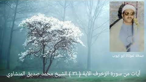 ومن يعش عن ذكر الرحمن نقيض له شيطانا فهو له قرين _ سورة الزخرف الآية { ٣٦ } فضيلة الشيخ المنشاوي