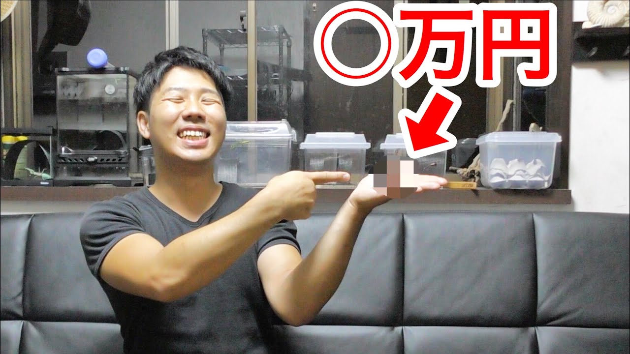 I bought an insect worth ¥10,000 per insect! It costs more than