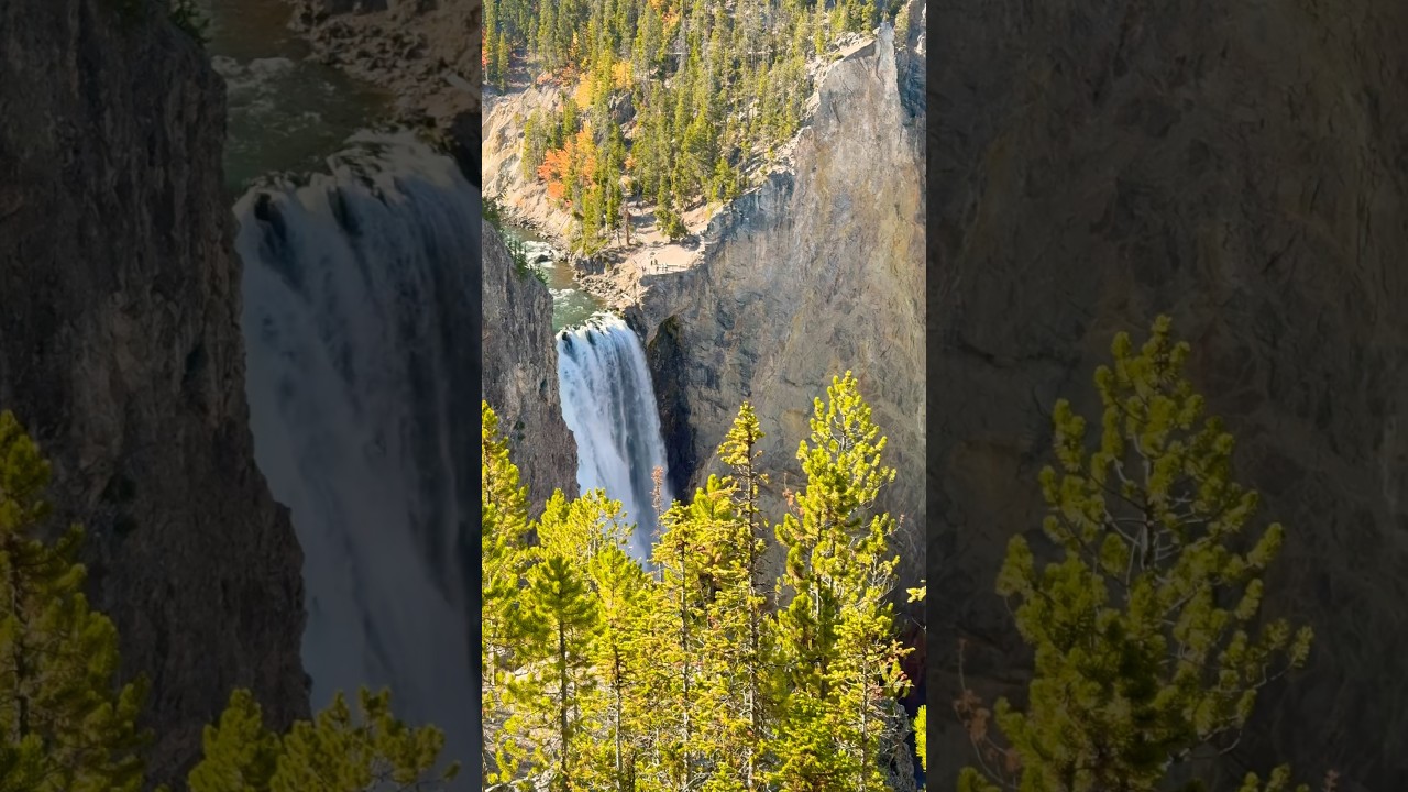 Grand Canyon of the Yellowstone Waterfall  🏔️🇺🇸🌲 