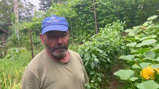 vivir de la naturaleza en Asturias si se puede este vecino nos enseña su huerto ecológico