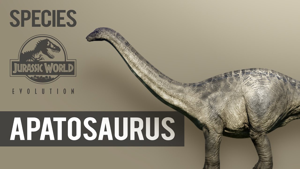 apatosaurus evolution