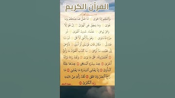 #سورة_النجم #سعود_الشريم #القرآن_الكريم #اكسبلور #المصحف #duet #quran #تيك_توك #دويتو #حالات_واتس