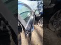 A beast coming v8