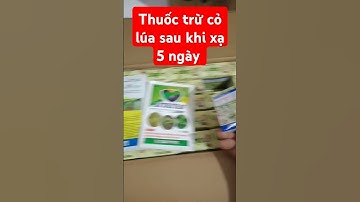 👉 Thuốc trừ cỏ lúa sau khi xạ 5 ngày