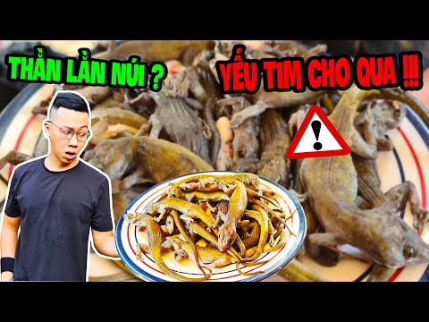 Video Siêu Dị THẰN LẰN NÚI Ma Thiên Lãnh Đặc Sản Tây Ninh... - youtube