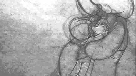 Interaction Assignment