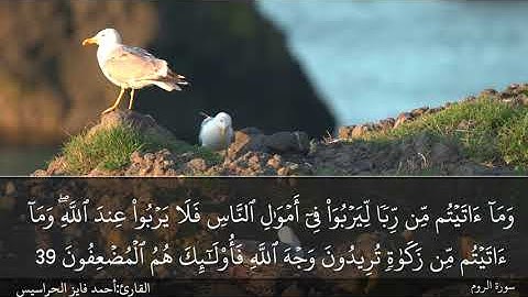 الصفحة 408 سورة الروم بصوت القارئ المهندس أحمد فايز الحراسيس