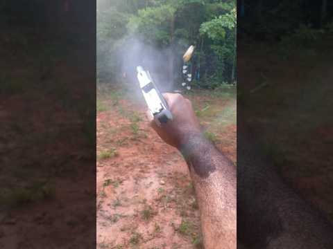 Taurus G2C 9mm 2 Tone Stainless Steel Mag Dump