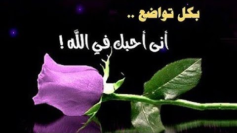 القرآن الكريم بصوت جميل جداً مؤثر القارئ الدغريري KORAN Karim
