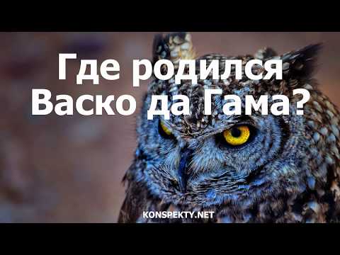 Где родился Васко да Гама?