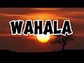 Ckay ft. Olamide - Wahala( Lyrics Video)