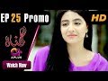Watch Gunnah - Episode 25 Promo | Aplus Dramas | Sara Elahi, Shamoon Abbasi, Asad Malik | Pakistani Drama Online In HD