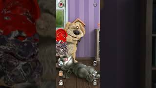 Talking Tom Cat 2 New Best Funny Video || Talking Ginger || Talking Tom Cat - Android GamePlay #1548 screenshot 4