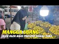 Mangga udang khas parapat danau toba