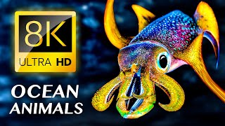 The Elegance of Fishes & Sea Animals 8K VIDEO ULTRA HD