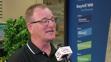 Treating BRD with Increxxa