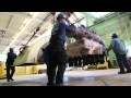 Steam Turbine Repair Time Lapse Video