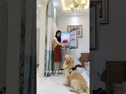 What Happened When Dog Left Home with a Camera