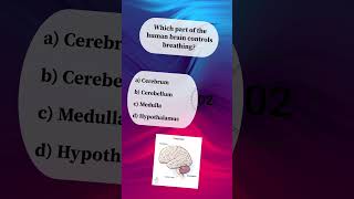 Top MCQs Quiz 💯 Important Questions for Govt Exams | SSC RRB NTPC UPSC #shorts