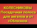 Семья Колесниковых/Новости из Дворца.