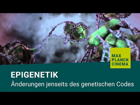 Epigenetik - Änderungen jenseits des genetischen Codes