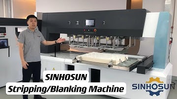 Sinhosun Double Heads Stripping/Blanking Machine With Paper Collecting Function