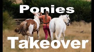 PONIES TAKEOVER...