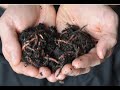 Cswd 3 rs series food scraps worm composting