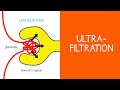 21 renal ultrafiltration