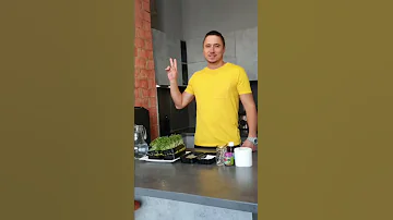 Микрозелень дома от А до Я рецепт