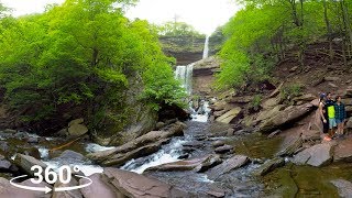 Kaaterskill Falls 360° Experience