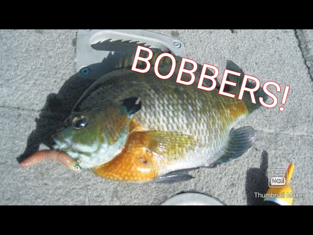 How to rig a Bobber for Bluegill! 