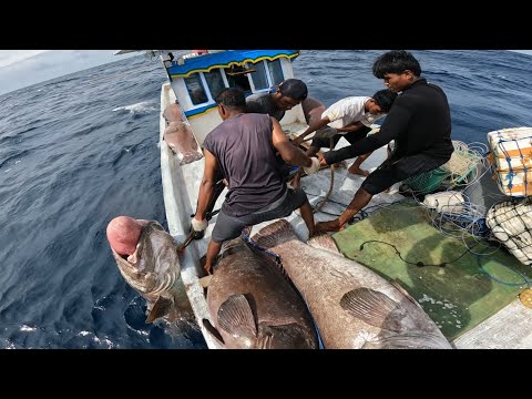 DOA TOLA BALA AKHIR TAHUN 2025 DAN AWAL TAHUN 2026 | MEMOHON PERLINDUNGAN ALLAH