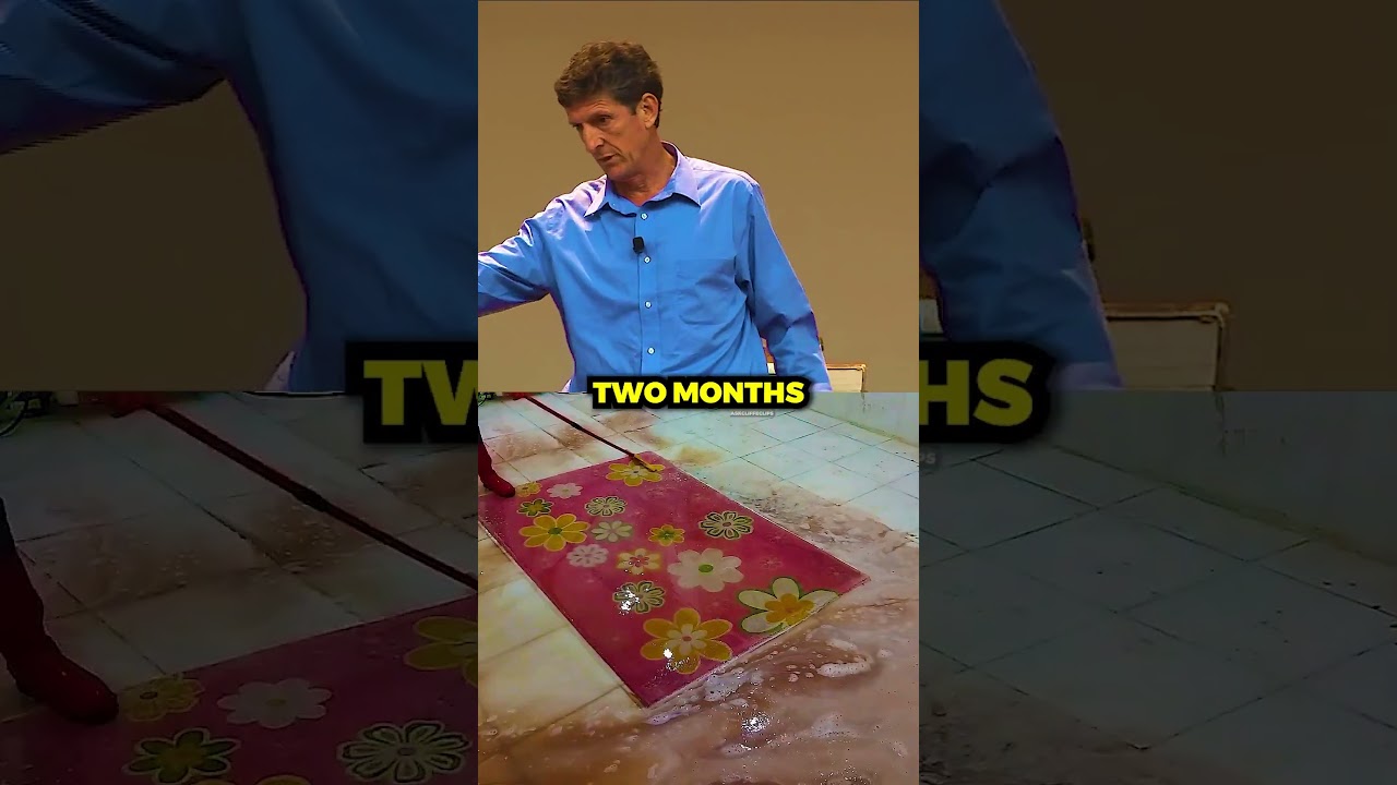 Would it be better if we didn't have free will? Cliffe Answers! 