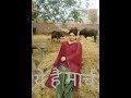 Afsar Whatsapp Status Video Download Free