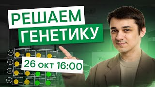 Учимся решать задачи по генетике | Биология с Мишей Гис | ЕГЭ 2026 | СМИТАП