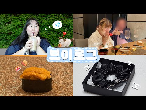 🏃🏻‍♀️ , 청담 스시류코🍣 , 샤넬 보테가베네타 언박싱🎁 , 이영자님 육회비빔밥 <strong>영천영화</strong>😋 | 크리수탈