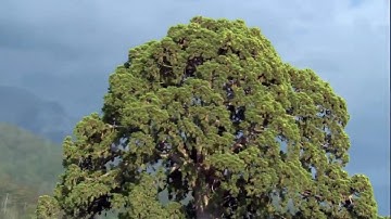 سورة ابراهيم القارئ صلاح بو خاطر